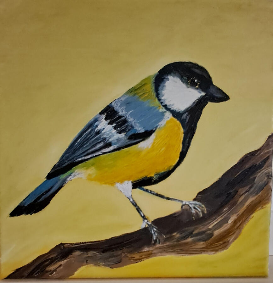 Koolmees, olieverf op doek *Great tit, oil on canvas*